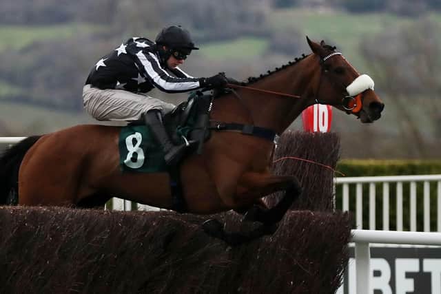 The Kim Bailey-trained Imperial Aura - pictured winning at last year's Cheltenham Festival under David Bass - remains on course for next month's Ryanair Chase.