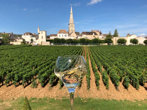 Visit Meursault – stunning wines from a lovely village.