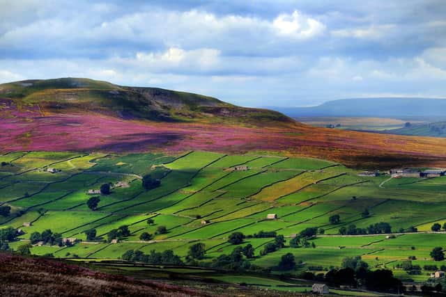 The Yorkshire Dales, famous for its man-made patchwork of dry stone walls, traditionally-built barns and hay meadows, attracts huge numbers of visitors. Pic: James Hardisty