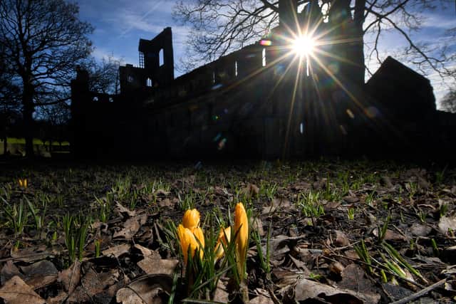 These crocuses were pictured in the grounds of Kirkstall Abbey on February 1. Was this the start of Spring? Photo: Simon Hulme.