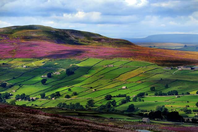 Chancellor Rishi Sunak is being urged to deliver for rural areas, like the Yorkshire Dales, in this week's Budget.