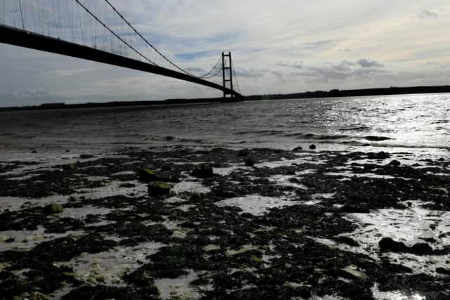 The areas around the Humber and Teesside are to be officially designated as freeports Picture: Gary Longbottom