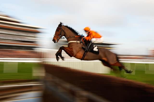Thistlecrack - the mount of Tom Scudamore - has been retired by the Colin Tizzard team.