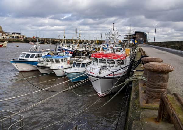 Fishing fleets at Bridlington and elsewhere have been hit by the Brexit trade deal.