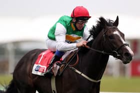 Top of the Pyle: Pyledriver was last season’s leading three-year-old colt and won the Great Voltigeur Stakes at York.Picture: David Davies/PA
