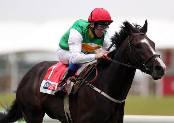 Top of the Pyle: Pyledriver was last season’s leading three-year-old colt and won the Great Voltigeur Stakes at York.Picture: David Davies/PA