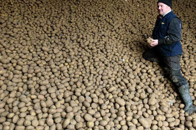 Andrew Wilson in the potato store