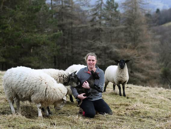 Sophie Legate with rescue sheep