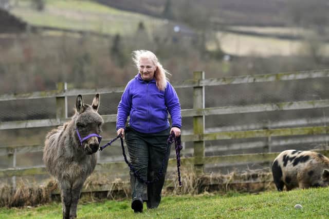 Jill Marshall looks after the farm animals