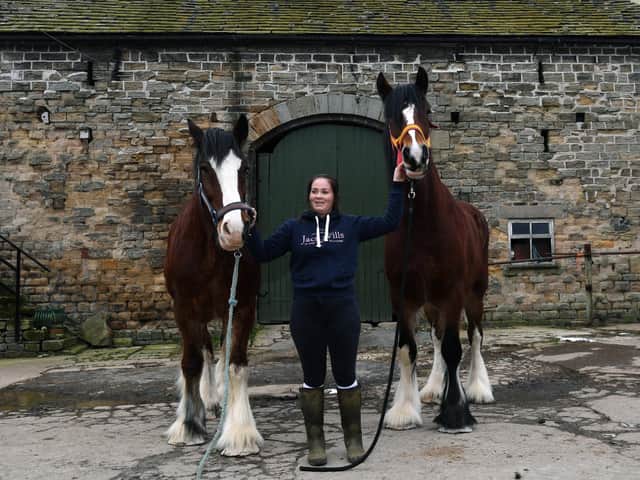 Megan Hoyle with two of her shire horses