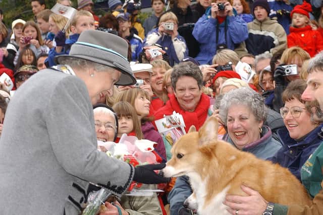 Queen Elizabeth II admiring a corgi from the Manitoba Corgi Association as she meets the crowd at The Forks in Winnipeg, Manitoba