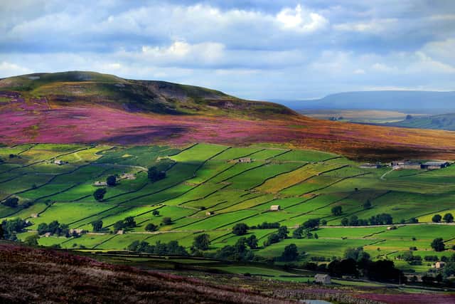 How should North Yorkshire be ruled in the future?