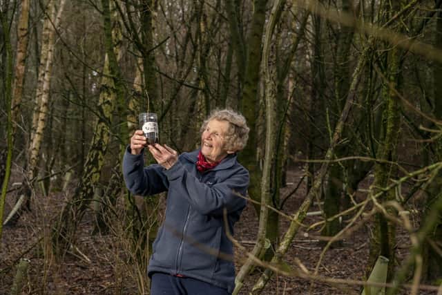 During lockdown last year Janet Willoner taught herself how to grow trees and grew over 500 saplings from seeds she collected and germinated, which she provided to a charity to grow woodlands. Picture Tony Johnson