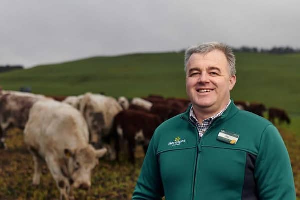 Morrisons is to work with its beef farms to use smaller cattle breeds