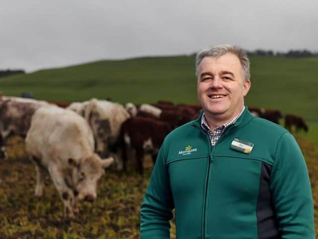 Morrisons is to work with its beef farms to use smaller cattle breeds