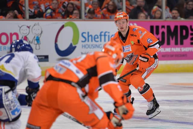 SOLID PICK: Davey Phillips will line up for Sheffield Steelers in next month's EIHL Series. Picture: Dean Woolley.