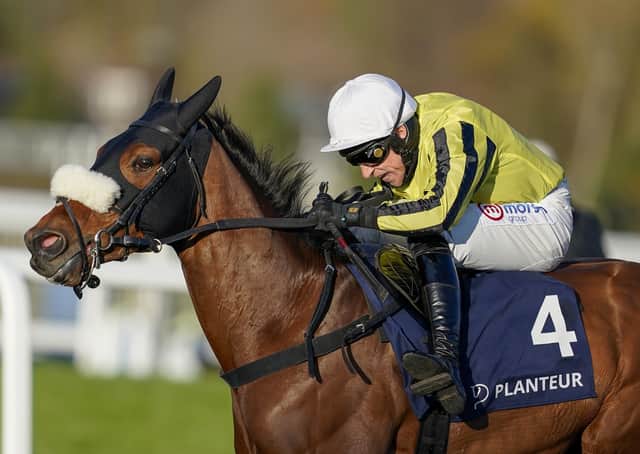 Allmankind, the mount of Harry Skelton, is due to line up in the Arkle Trophy next week.