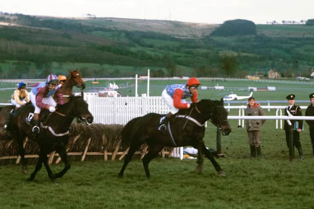 John Francome was in the saddle when Sea Pigeon won his second Champion Hurdle in 1981 for Peter Easterby.