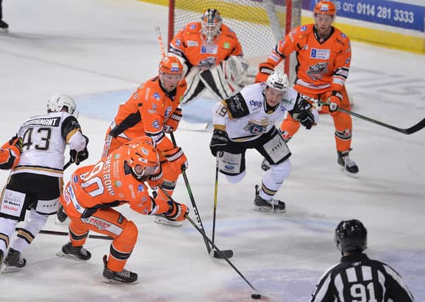 Sheffield Steelers will kick off their Elite Series campaign against Nottingham Panthers on Saturday, April 3. Picture courtesy of Dean Woolley.