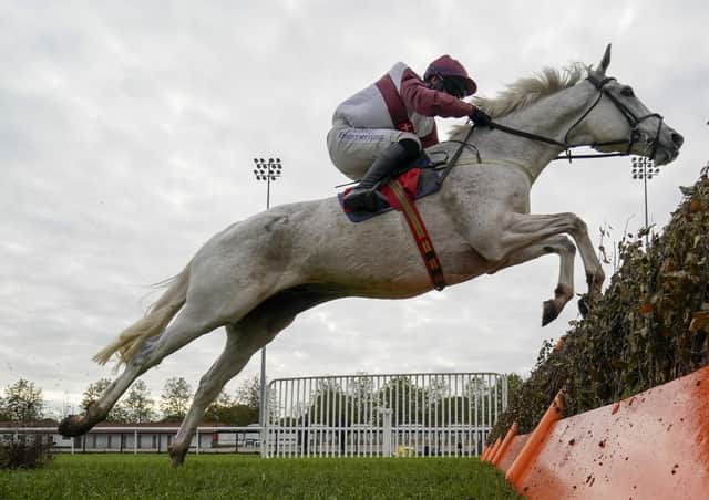 The grey Settle Streak will carry the colours of Settle farmer Les Fell in next week's Champion Hurdle.