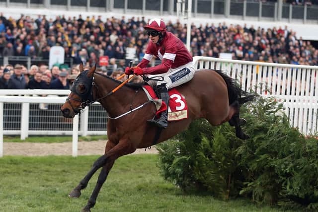 Dual Grand National winner Tiger Roll, a horse trained by the disgraced Gordon Elliott, has been entered for Cheltenham.