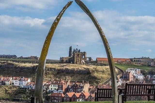 Whitby and Scarborough were awarded a total of £37m from the Towns Fund and both are involved in creating a Wild Eye trial, a new tourism product using world leading artists and designers.