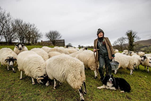 Alison has a 'no slaughter' fibre flock which produces wool she turns into tweed and fabrics.