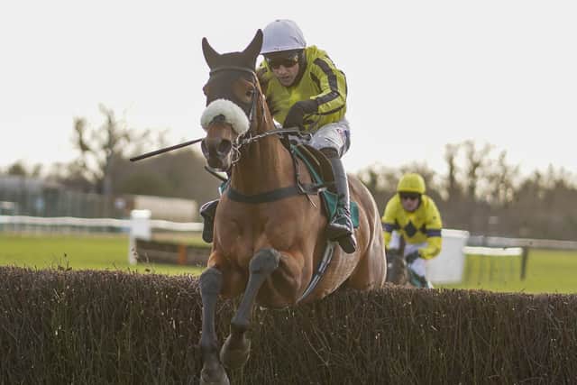 This was Harry Skelton and Allmankind on their way to winning the Agetur UK Kingmaker Novices' Chase at Warwick