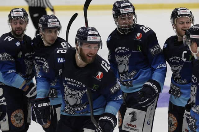 Sheffield Steeldogs will provide a stiff test for Telford Tigers this weekend. Picture courtesy of Cerys Molloy.