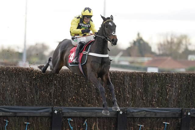 Nicky Henderson's superstar Shishkin puts his unbeaten record on the line in the Arkle Trophy at Cheltenham.