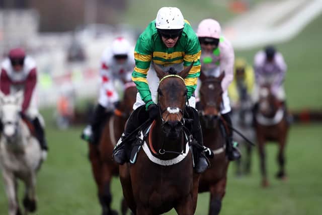 Epatante - pictured winning last year's Champion Hurdle under the now retired Barry Geraghty - will bid to give trainer Nicky Henderson a record ninth win in the race.