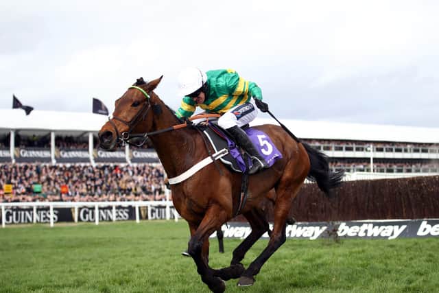 Nicky Henderson is bullish about the Gold Cup chances of Champ who came with a late surge to win last year's RSA Chase at Cheltenham under the now retired Barry Geraghty.