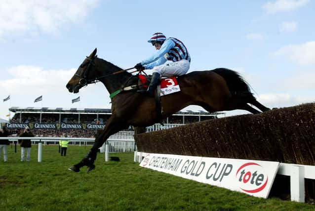 This was Best Mate clearing the last in the 2003 Cheltenham Gold Cup under Jim Culloty.