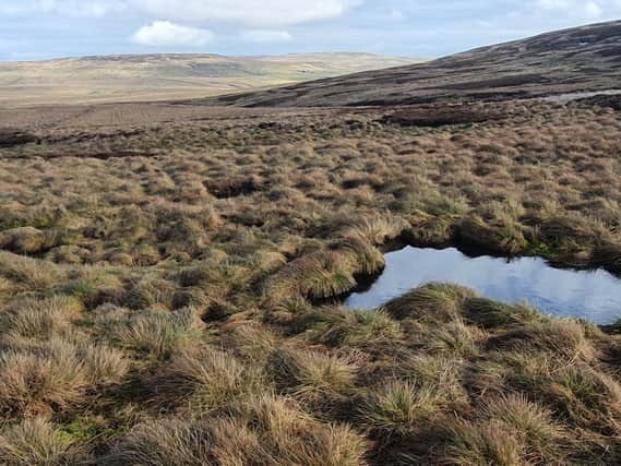 Thousands of acres of peatland have been restored in Yorkshire