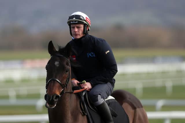 Paul Townend aboard Sharjah on the gallops at Cheltenham Racecourse ahead of the Cheltenham Festival (Picture: PA)