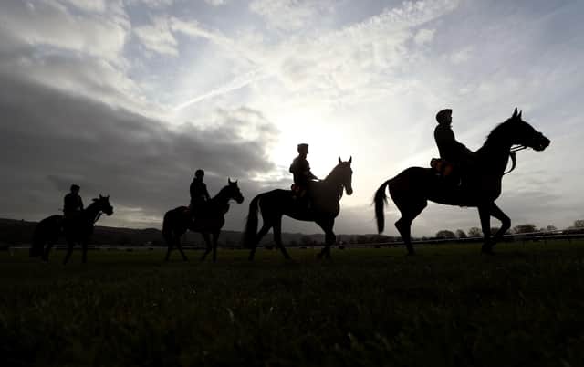 Irish runners are put through their paces at Cheltenham before the National Hunt Festival.