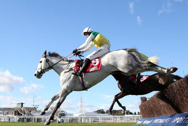 This was Vintage Clouds winning at Cheltenham for Sue and Harvey Smith under Ryan Mania.