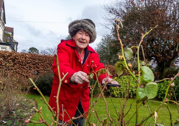 Margaret Marshall, of Leeds,  is 100 year old has had a knee replacement which means she can once again take care of her garden and most importantly her roses.
Picture James Hardisty