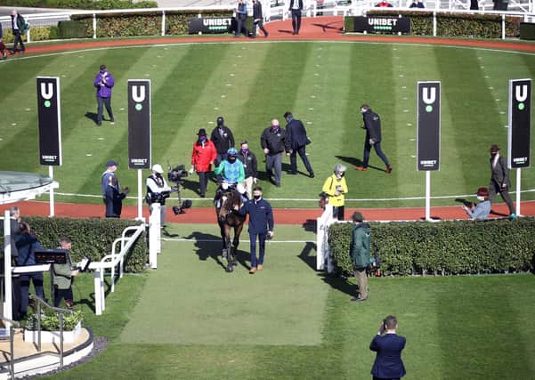 The unique scene after Appreciate It won the opening race at Cheltenham.