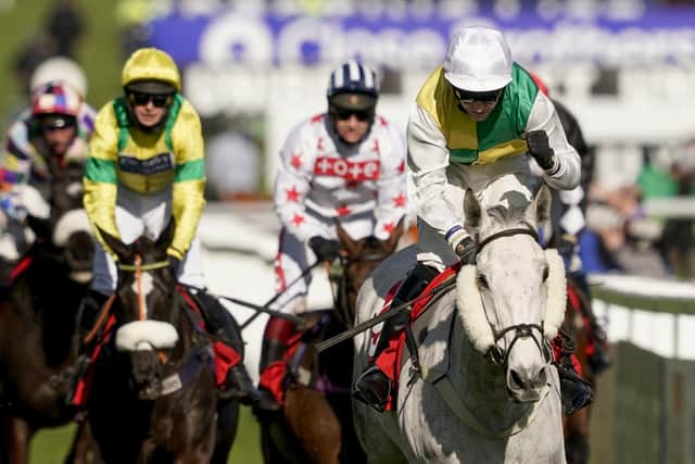 This was the grey Vintage Clouds winning at Cheltenham on Tuesday for racing legends Sue and Harvey Smith.