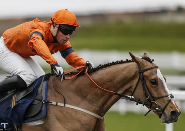 Jedd O'Keeffe's Sam Spinner lines up on day three of the Cheltenham Festival.