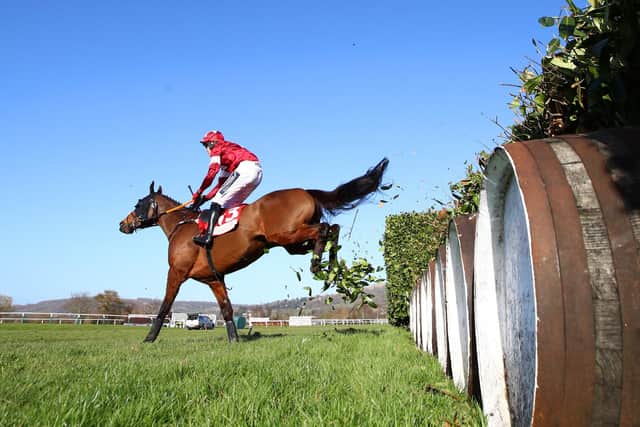 This was dual Grand National hero Tiger Roll winning at the Cheltenham Festival for a fifth time.