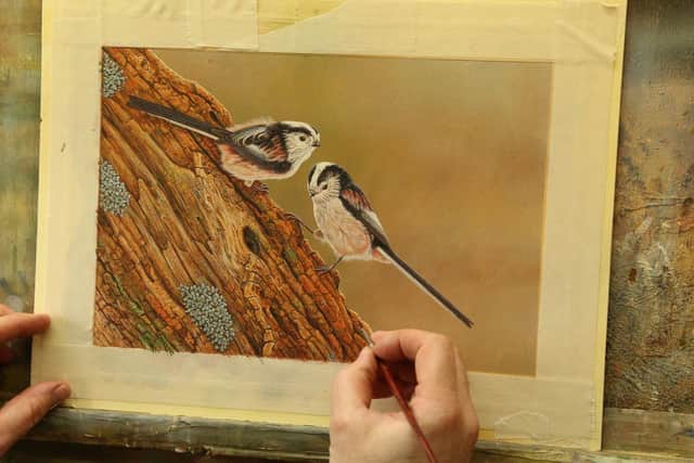 Robert Fuller’s painting of a pair of long-tailed tits.