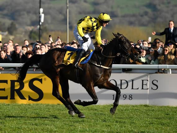 SAME AGAIN? Paul Townend and Al Boum Photo take last year's Magners Cheltenham Gold Cup - and they can do so again one year on. Photo by Dan Mullan/Getty Images.