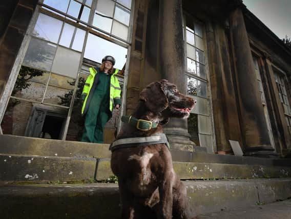 Rothound handler Isabel Mar pictured with her dog Pip at the Camellia House, at Wentworth Woodhouse, Rotherham. Picture by Simon Hulme