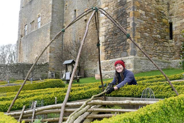 Elizabeth Carter Gardener at Bolton Castle in Wensleydale , at work in the herb garden. Photo credit: Gary Longbottom/JPIMediaResell