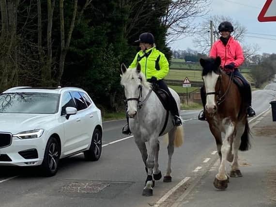 Officers from South Yorkshire Police's mounted section have been out on the road in a bid to educate drivers on how to pass a horse safely.