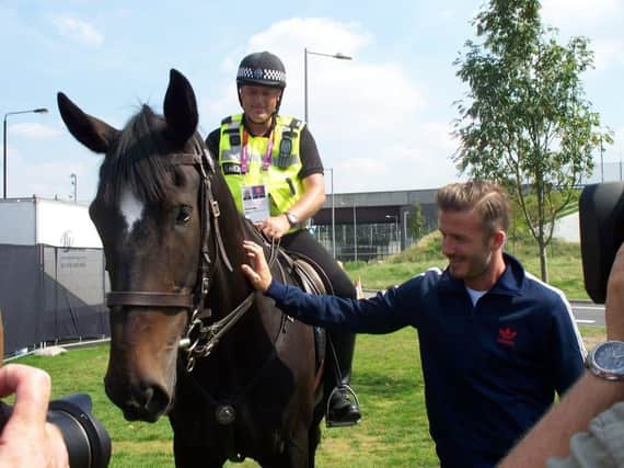South Yorkshire Police horse Bertie when he met David Beckham at the London 2012 Olympics.