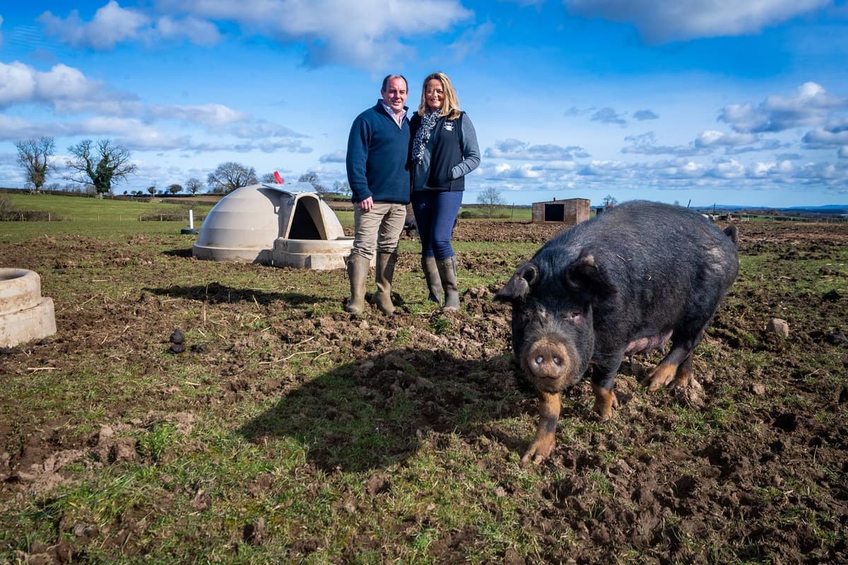 Farm of the Week: From working in the City to field to fork farming and butchery in Richmondshire 
