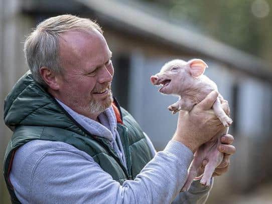 Rob Nicholson with one of the farm's piglets.